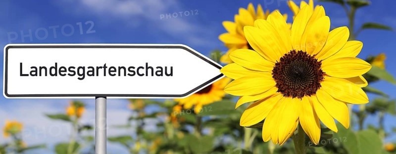 Symbolic image of the State Garden Show: Directional arrow with the inscription Landesgartenschau next to a sunflower (Compsosing)