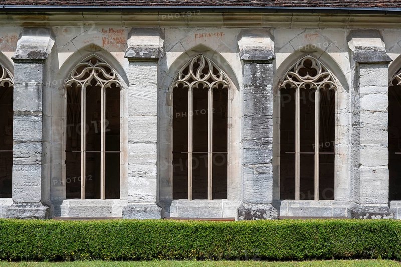 Tracery, Gothic-style windows, monastery church and cloister, Bebenhausen Monastery and Palace, former Cistercian abbey, Tübingen district, Baden-Württemberg, Germany, Europe