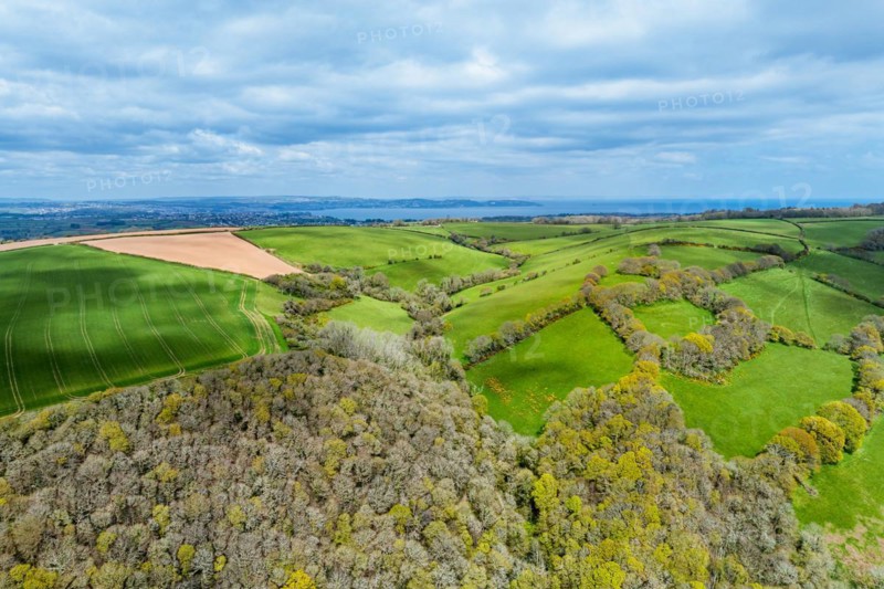 Forest, Farms and Farms over Long Wood and River Dart from a drone, Dartmouth, Kingswear, Devon, England, United Kingdom, Europe