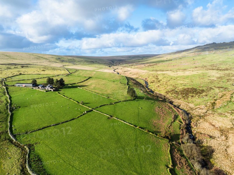 Farms over West Dart River in Dartmoor National Park, Devon, England, United Kingdom, Europe