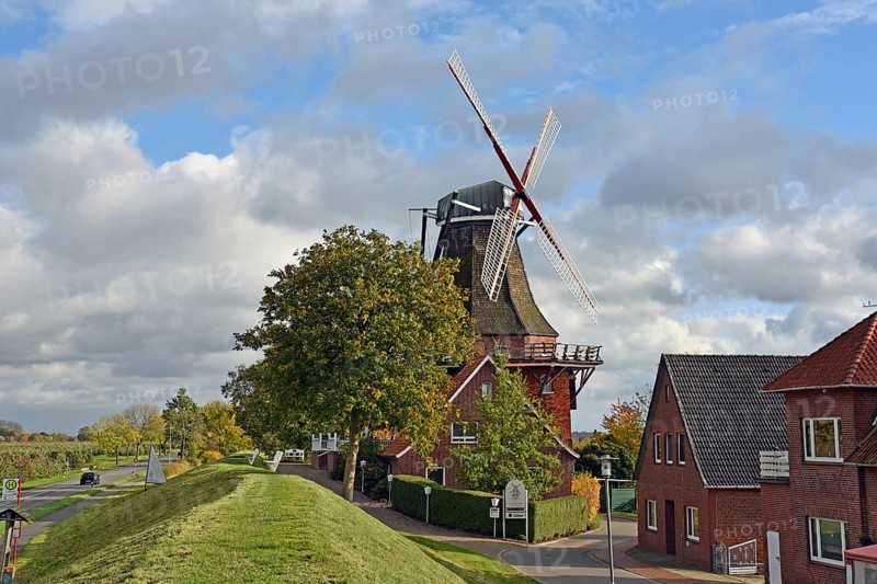 Europe, Germany, Lower Saxony, Hamburg metropolitan region, Altes Land, Stade district, Jork-Borstel, Galerie-Holländer windmill Aurora on the Elbe dyke, built in 1856, Europe