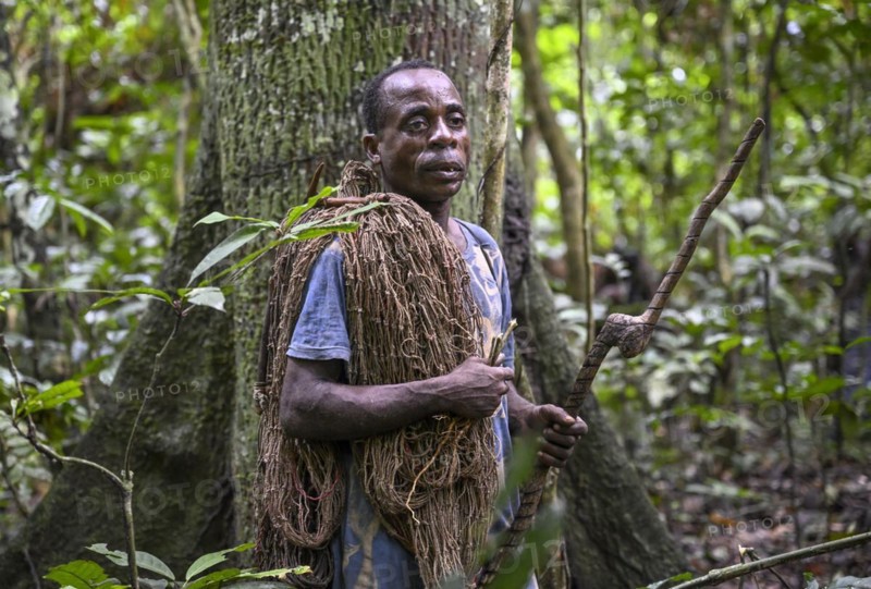 Pygmy of the Baka or BaAka people with his hunting net in the forest, Dzanga-Sangha Special Dense Forest Reserve, Sangha-Mbaéré Prefecture, Central African Republic, Africa