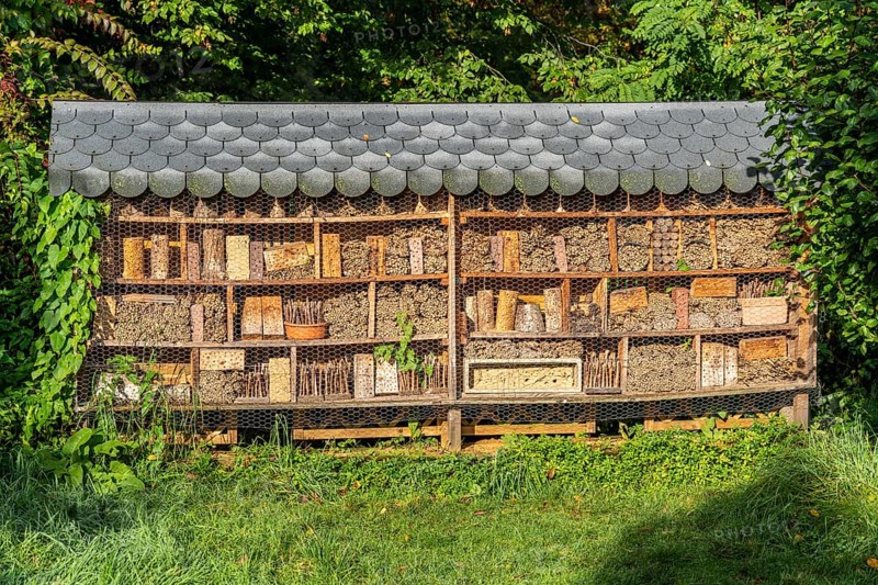 Model gardens in Grugapark, garden at the House of Bees, insect hotel, horticultural design of various gardening styles Essen, North Rhine-Westphalia, Germany, Europe