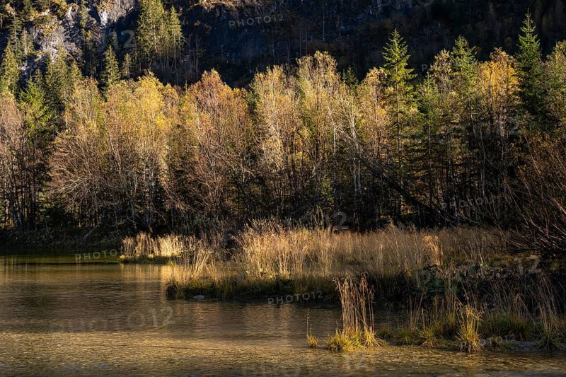 A small lake called Gosaub near the power station on the road to Lake Gosau. Autumn, trees in autumn leaves, atmospheric light