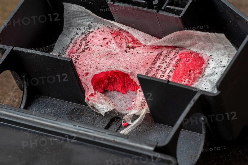Open mouse bait station showing nibbling traces on bag with Brodifacoum rodenticide, poisonous paste as poison to exterminate mice in and around house