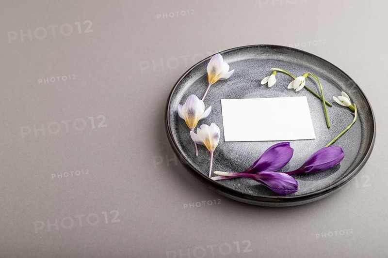 White paper invitation card, mockup with crocus and galanthus flowers on ceramic plate and gray background. Blank, side view, still life, copy space, wedding invitation