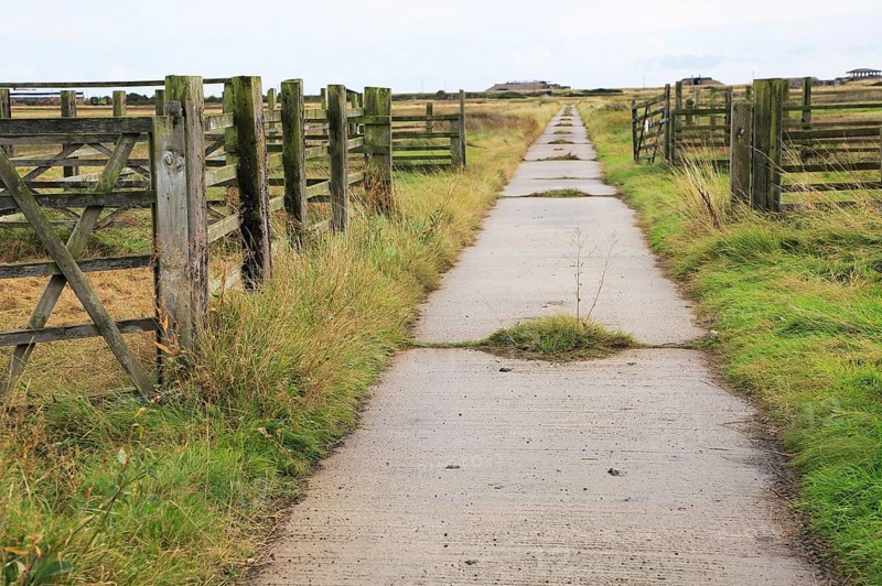 Orford Ness lighthouse Open Day, September 2017, Suffolk, England, UK, old military road crossing fields