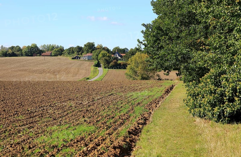 Rural early autumn landscape harrowed field and pathway, Monewden, Suffolk, England, UK