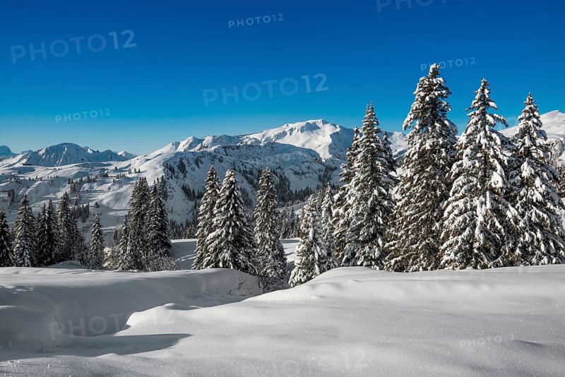 Snow-covered mountain landscape, Damüls, Bregenzerwald, Vorarlberg, Austria, Europe