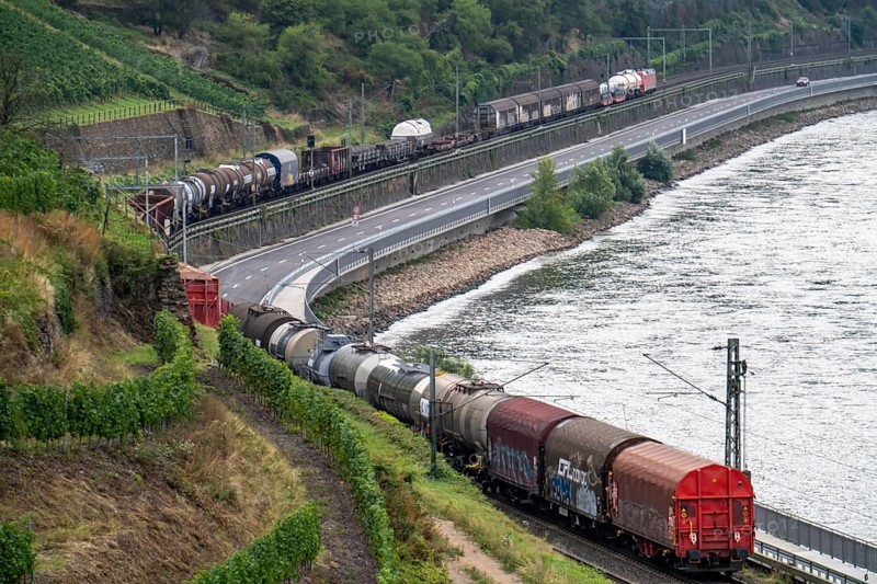 Upper Middle Rhine Valley, railway line on the right bank of the Rhine, goods train line, up to 400 freight trains run here within 24 hours, on both sides, through the Rhine Valley, directly through villages and close to buildings, vineyard, near the village of Lorch, Hesse, Germany, Europe
