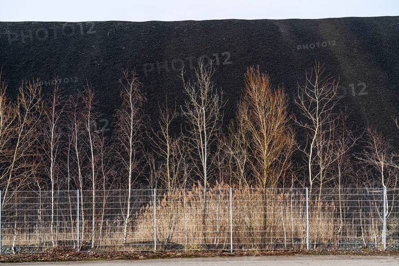 Coal stockpile, coal store, steam coal, for the STEAG Herne thermal power station, on the Rhine-Herne Canal, Herne, North Rhine-Westphalia, Germany, Europe
