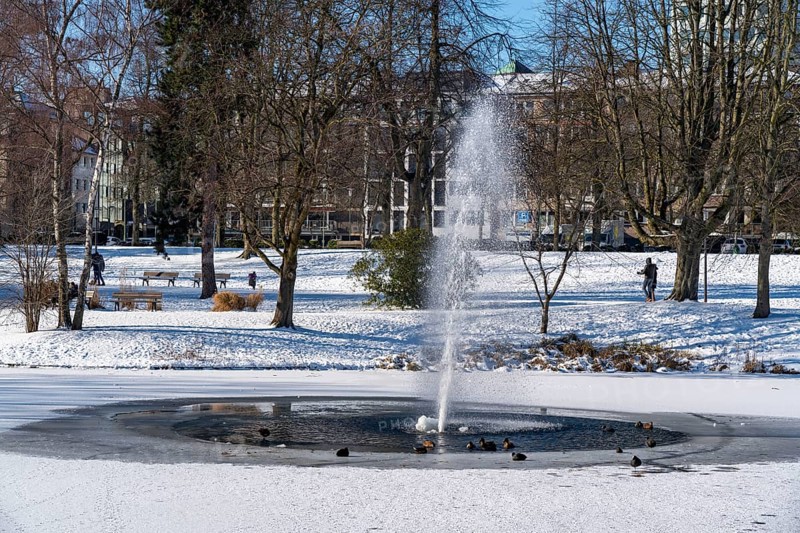 Winter weather in the Ruhr area, Stadtgarten Essen, municipal park in the city centre, snow-covered, frozen pond, Essen, North Rhine-Westphalia, Germany, Europe