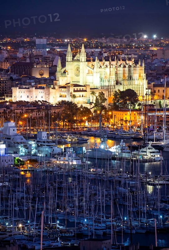 Panorama of Palma de Majorca, Bay of Palma, with the marina and the Cathedral of St Mary, Balearic Islands, Spain, Europe