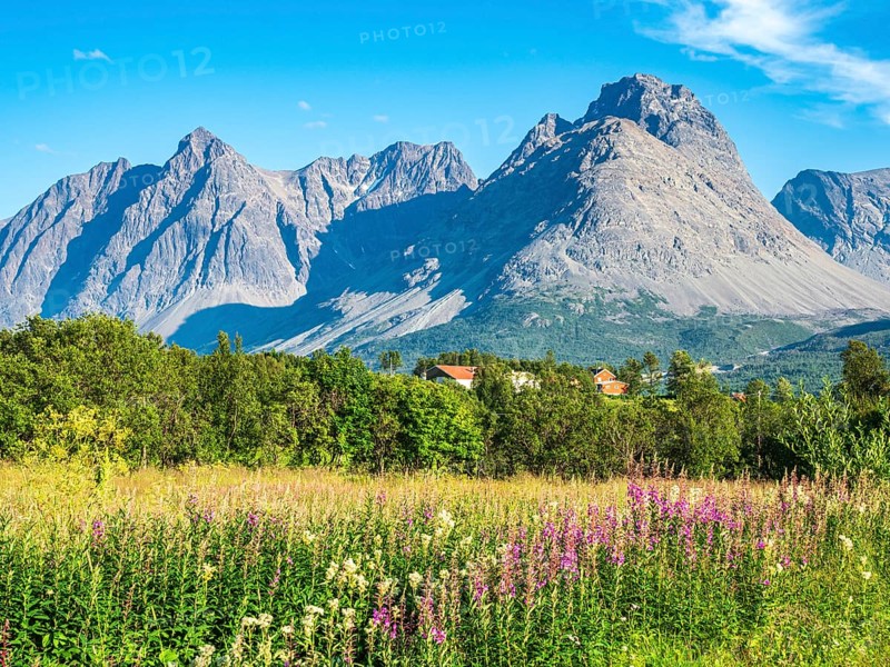 Farm houses south of Svensby at the Kjosenfjord, steep mountain peaks, Lyngen peninsula, Norway, Europe