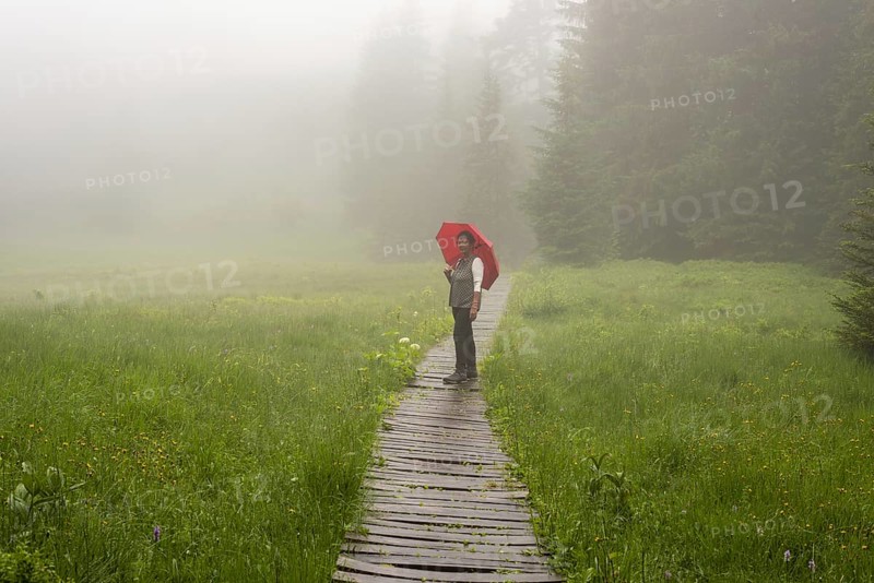 Woman 60-65 with umbrella in the Hühnermoos on a cloudy day with fog, a high moor at the Söllereck near Oberstdorf, Allgäu Alps, Allgäu, Bavaria, Germany, Europe