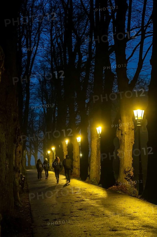 The Burgallee in Düsseldorf-Kaiserswerth, tree-lined avenue, at the old imperial palace, on the Rhine, in winter, lantern lighting, Düsseldorf, North Rhine-Westphalia, Germany, Europe