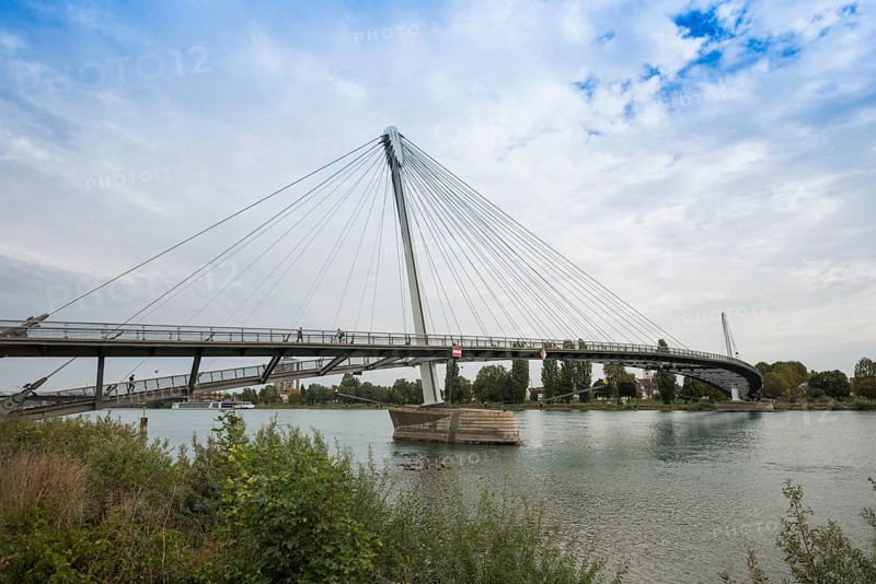 Bridge over the Rhine, cable-stayed bridge Passerelle des Deux Rives, Kehl, Ortenau, Baden-Württemberg, Germany, Europe