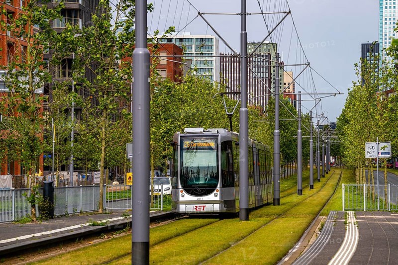Urban greening, inner-city street Laan op Zuid, in Rotterdam's Feijenoord district, 4 lanes, 2 tram tracks, cycle paths on both sides, pavements and parking lanes, planted with hundreds of plane trees over around 1.5 km, providing shade, cooling in summer, tram tracks with grass surface, less surface sealing, urban climate, microclimate in the city, Rotterdam, Netherlands