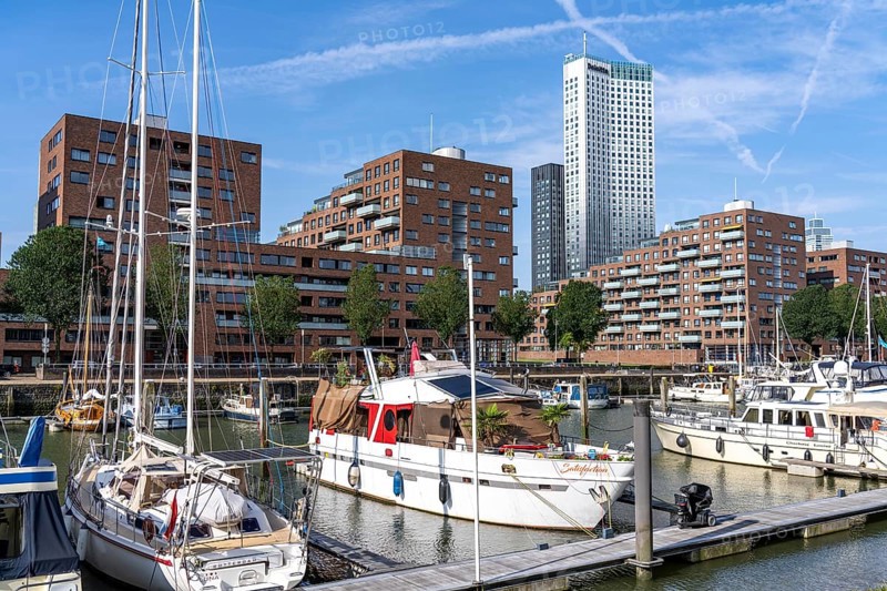 Rotterdam Marina, behind residential high-rise buildings at Spoorweghaven, pleasure craft harbour, sailing boats, motor yachts, in the inland harbour, Feijenoord district, Rotterdam, Netherlands