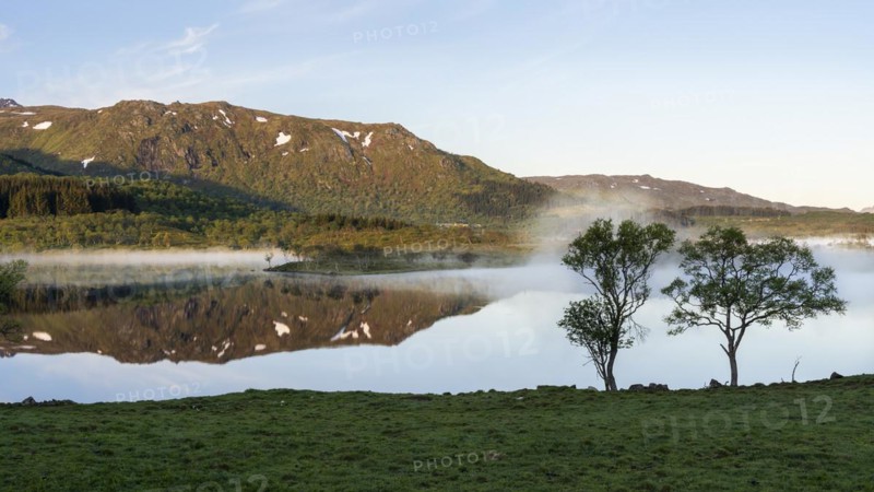 Landscape in the Lofoten Islands. Lake Lilandsvatnet, mountains in the background. Trees in the foreground. A light morning mist forms over the water. At night at the time of the midnight sun in good weather, blue sky. Golden hour. Reflection. Early summer. Vestvagoya, Lofoten, Norway, Europe