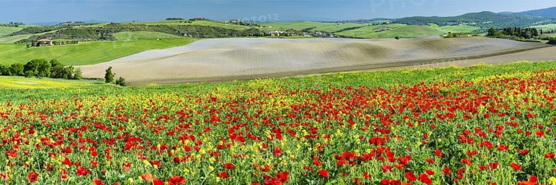 Landscape around San Quirico dOrcia, Val d'Orcia, Orcia Valley, UNESCO World Heritage Site, Province of Siena, Tuscany, Italy, Europe
