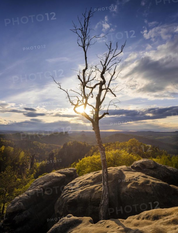 View of the Schrammstein chain, the Falkenstein and the Lilienstein from the Carolafelsen, Bad Schandau, Saxony, Germany, Europe