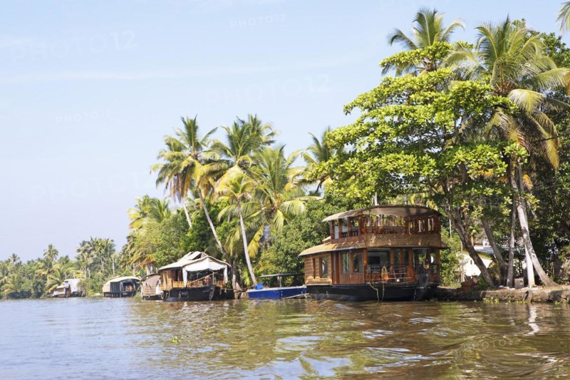 Traditional houseboats on a canal in the canal system of the backwaters, Kerala, India, Asia