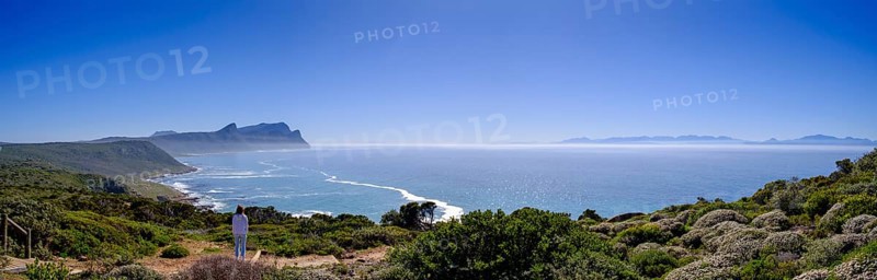 Cape Point Nature Reserve, Cape Point, Cape of Good Hope, Cape Peninsula, Western Cape, South Africa, Africa