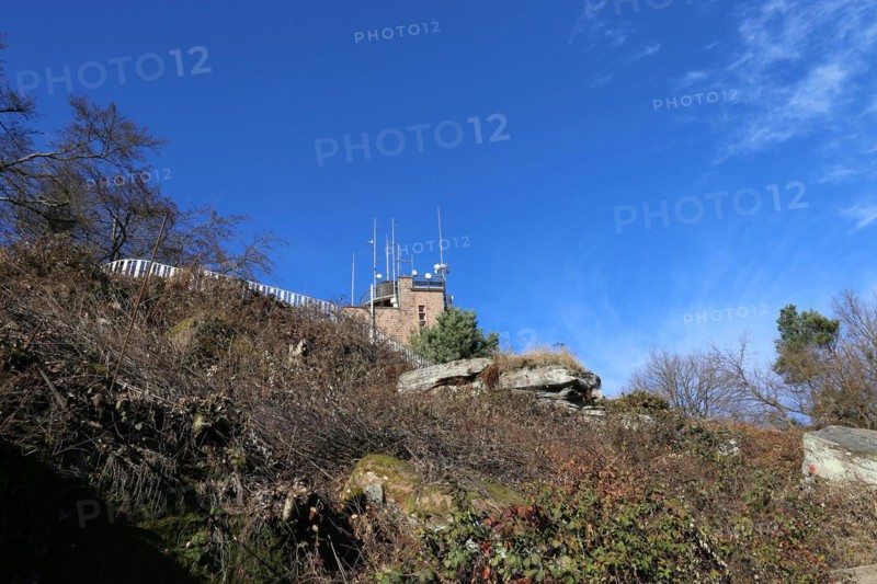 View of the summit of the Kalmit, the highest peak in the Palatinate Forest at 672 metres above sea level. In the background you can see the Kalmithaus, the hut run by the Palatinate Forest Association