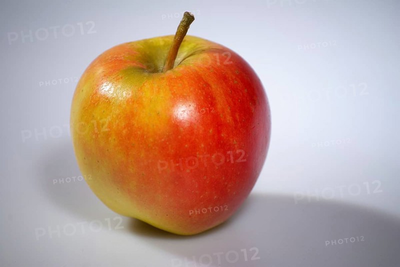 Europe, Germany, Lower Saxony, red apple, cultivation in the Altes Land near Hamburg, Malus, Hamburg, Hamburg, Federal Republic of Germany, Europe