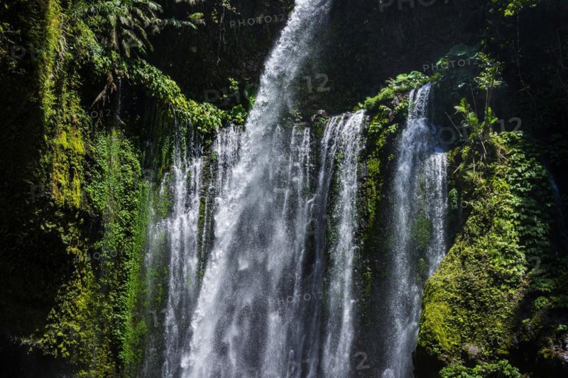Sendang Gile waterfall, nature, landscape, flowing, river, fresh, clear, clean, environment, rainforest, jungle, green, ecological, long-distance, exotic, cascade, flora, botany, jungle, forest, tranquillity, relaxation, wellness, idyllic landscape, beautiful, beauty, natural spectacle, paradise, paradisiacal, hiking, trekking, tropical forest, rainy season, travel, tourism, water, tropical, tropics, Asian, natural landscape, untouched, holiday, pristine, water, fresh, Lombok, Indonesia, Asia