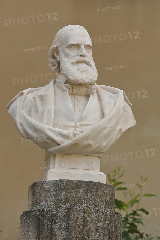 Monument with bust of François-Vincent Raspail, sculpture, Francois, Carpentras, Vaucluse, Provence, France, Europe