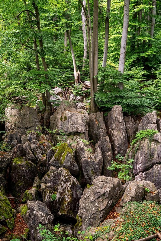 The Felsenmeer in Hemer, Sauerland, geotope, with rugged rock formations, nature reserve, North Rhine-Westphalia, Germany, Europe