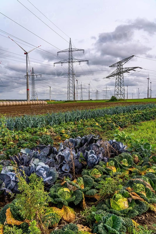 Wind farm, power line, high-voltage pylons, agriculture, fields, fields, east of Bad Wünnenberg, OWL, North Rhine-Westphalia, Germany, Europe