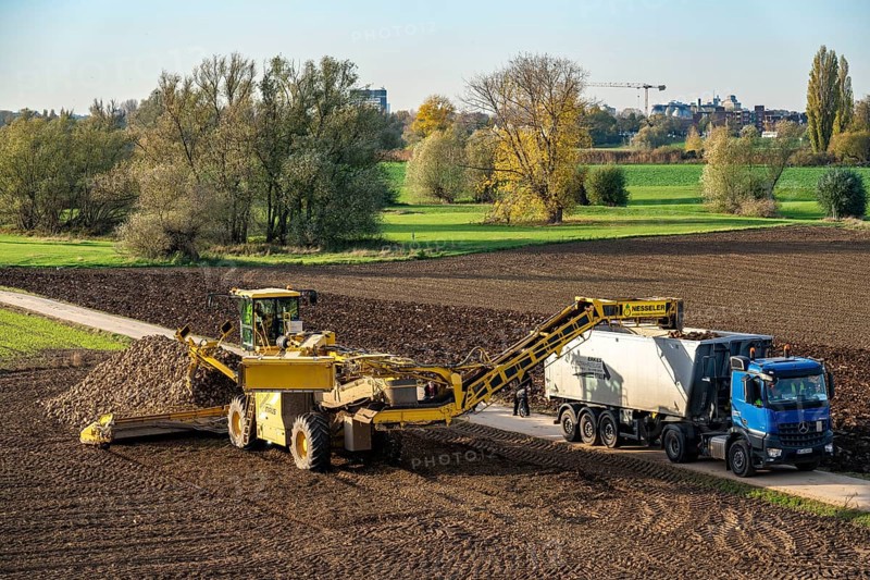 Sugar beet harvest, loading the harvested beet onto a lorry with a self-propelled cleaning loader for sugar beet, Neuss, North Rhine-Westphalia, Germany, Europe