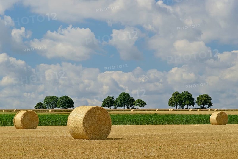 Grain field after harvest, stubble field with round straw bales, blue cloudy sky, North Rhine-Westphalia, Germany, Europe