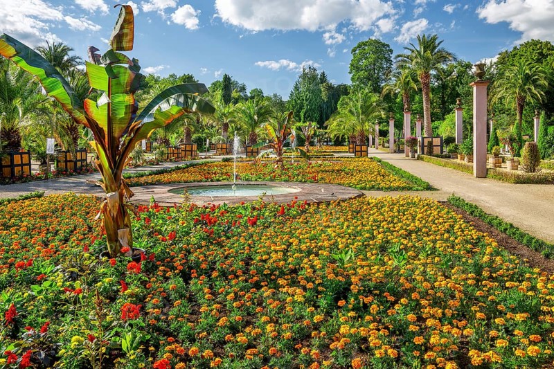 Palm garden in the spa gardens, the largest outdoor palm garden north of the Alps, spa town of Bad Pyrmont, Lower Saxony state spa, Emmer, Emmertal, Weserbergland, Lower Saxony, Germany, Europe