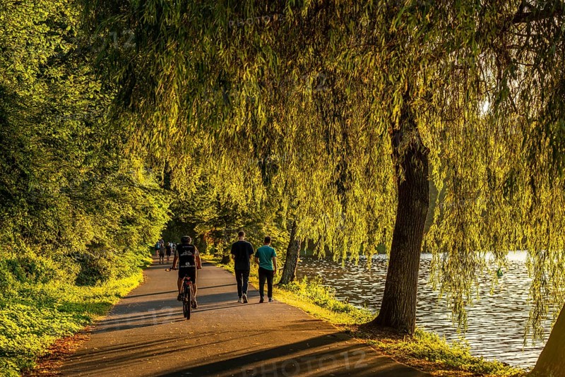 Cycling on Lake Baldeney, around 14 kilometres around the Ruhr reservoir, summer evening on the eastern shore, Essen, North Rhine-Westphalia, Germany, Europe