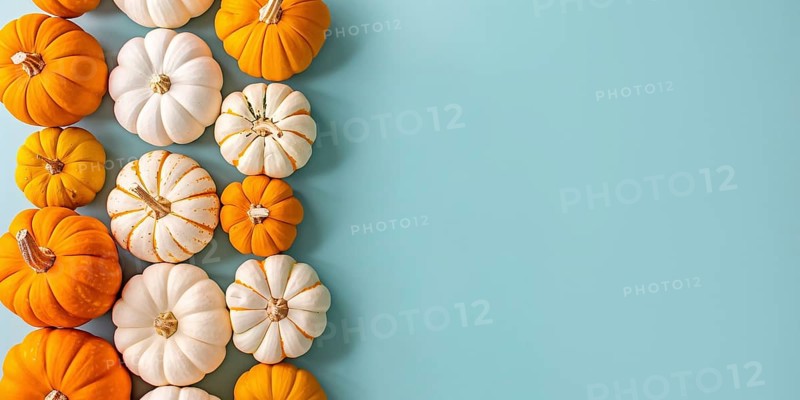Banner with orange and white pumpkins on pastel blue background with copy space. Generative Ai, AI generated