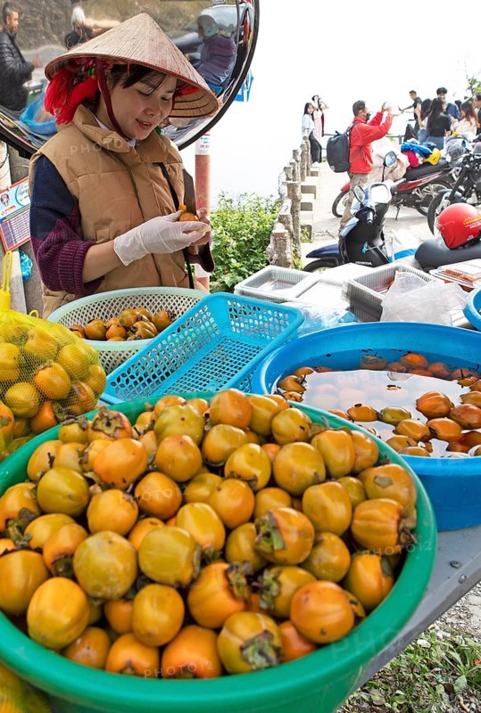 Vietnamese woman peeling khaki fruit at Heavens Gate, Ha Giang province, Vietnam, Asia