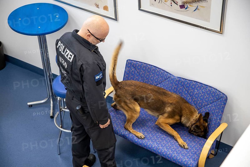 Data storage sniffer dog of the North Rhine-Westphalia police, here in a training flat, training institute, the dogs can sniff out data carriers such as USB sticks, hard drives, memory cards, Neuss, North Rhine-Westphalia, Germany, Europe