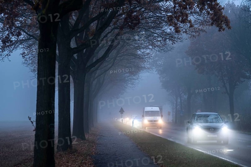 Country road B 57 near Erkelenz, autumn, fog, rainy weather, tree-lined avenue, wet road, North Rhine-Westphalia, Germany, Europe