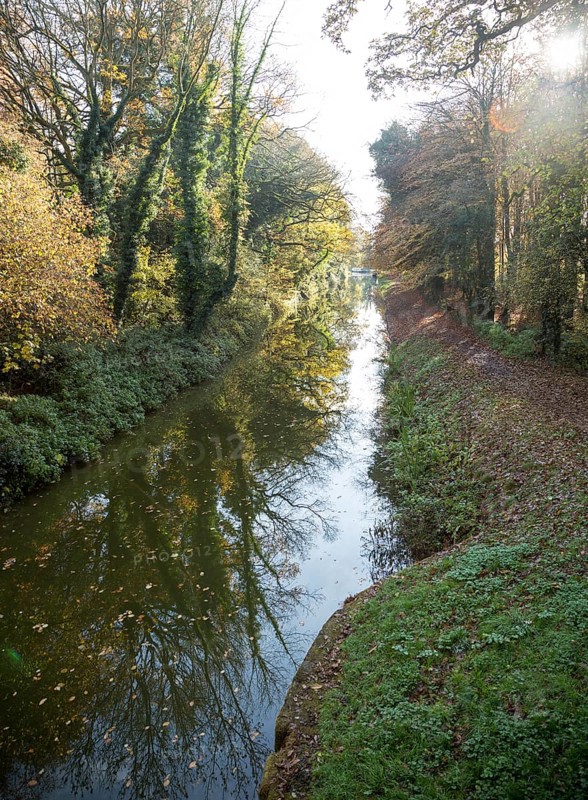 Treelined stretch of the Kennet and Avon canal, autumn leaf colours, Wilcot, near Pewsey, Wiltshire, England, UK