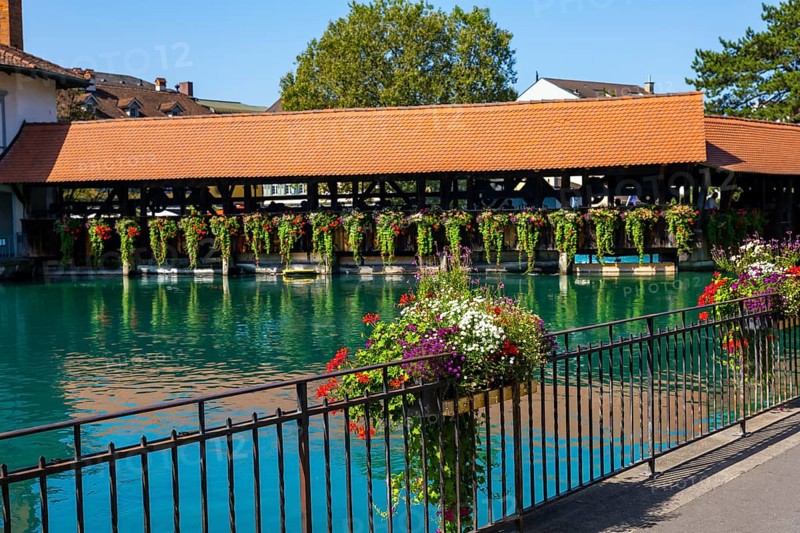 River Aare in City of Thun and Untere Schleuse Bridge in a Sunny Summer Day, Bernese Oberland, Bern Canton, Switzerland, Europe