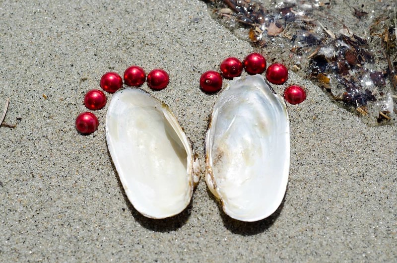 Footprints Made of Shells and Pearls in the Sand
