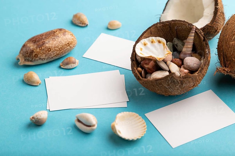 White paper business card with coconut and seashells on blue pastel background. Side view, copy space. Tropical, healthy food, vacation, holidays concept