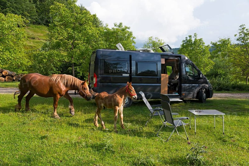 Camping atmosphere with a parked motorhome and horses near furniture on grass, curious foal and dam, Nucet, Bihor, Kreisch region, Romania, Europe