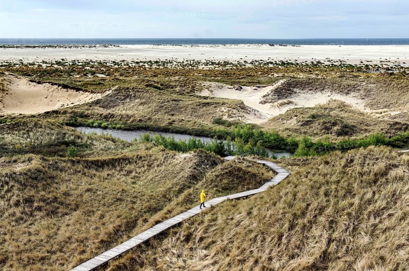 Woman with yellow rain jacket walking along a boardwalk in the dunes, Amrum Island, Wittdün, 24/05/2021