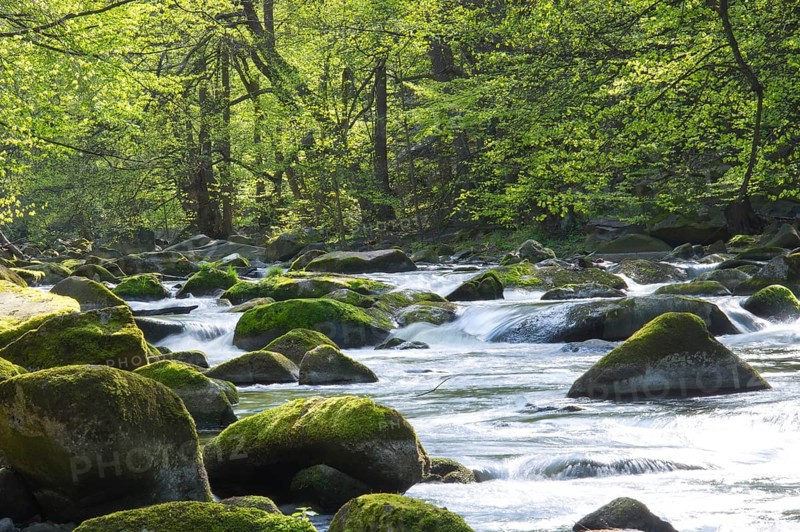 Fast flowing water in a river with rocks, stones with moss and trees, Bode valley with river Bode, forest of copper beeches (Fagus sylvatica) or copper beeches, leaf budding in spring in April, wipe effect, motion blur, long exposure, softly drawn, Eastern Harz, Harz Mountains, Saxony-Anhalt, Germany, Europe
