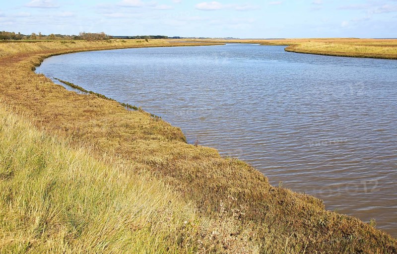 Landscape at high tide Barthorp's Creek, Hollesley Bay, near Shingle Street, Suffolk, England, UK